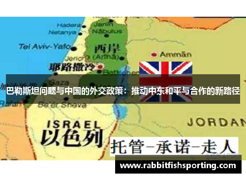 巴勒斯坦问题与中国的外交政策：推动中东和平与合作的新路径